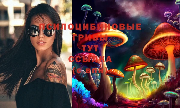 соль курить ск Арсеньев