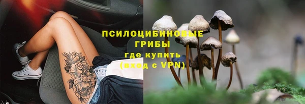 гидропоника Армянск