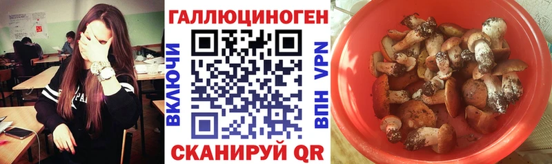 Псилоцибиновые грибы GOLDEN TEACHER  цена наркотик  Нязепетровск 